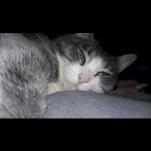 Meet your Posher, Miranda